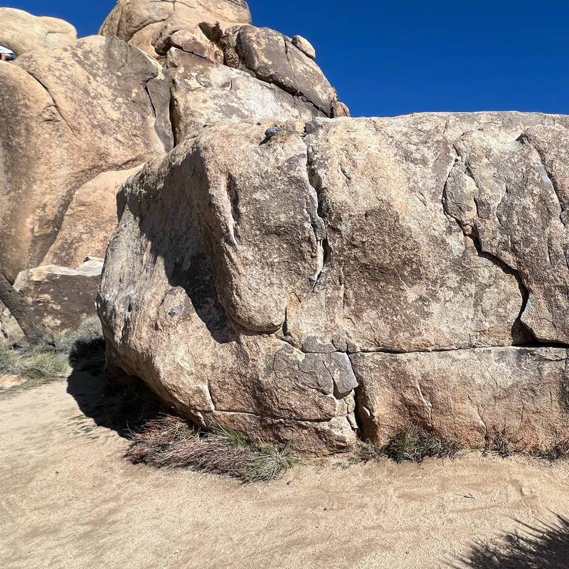 Oryan vB, Joshua Tree - Beta Video from calvinb
