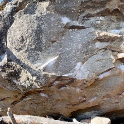 Flash Gordon v10, Horseshoe Canyon Ranch - Beta Video from cmclimbs