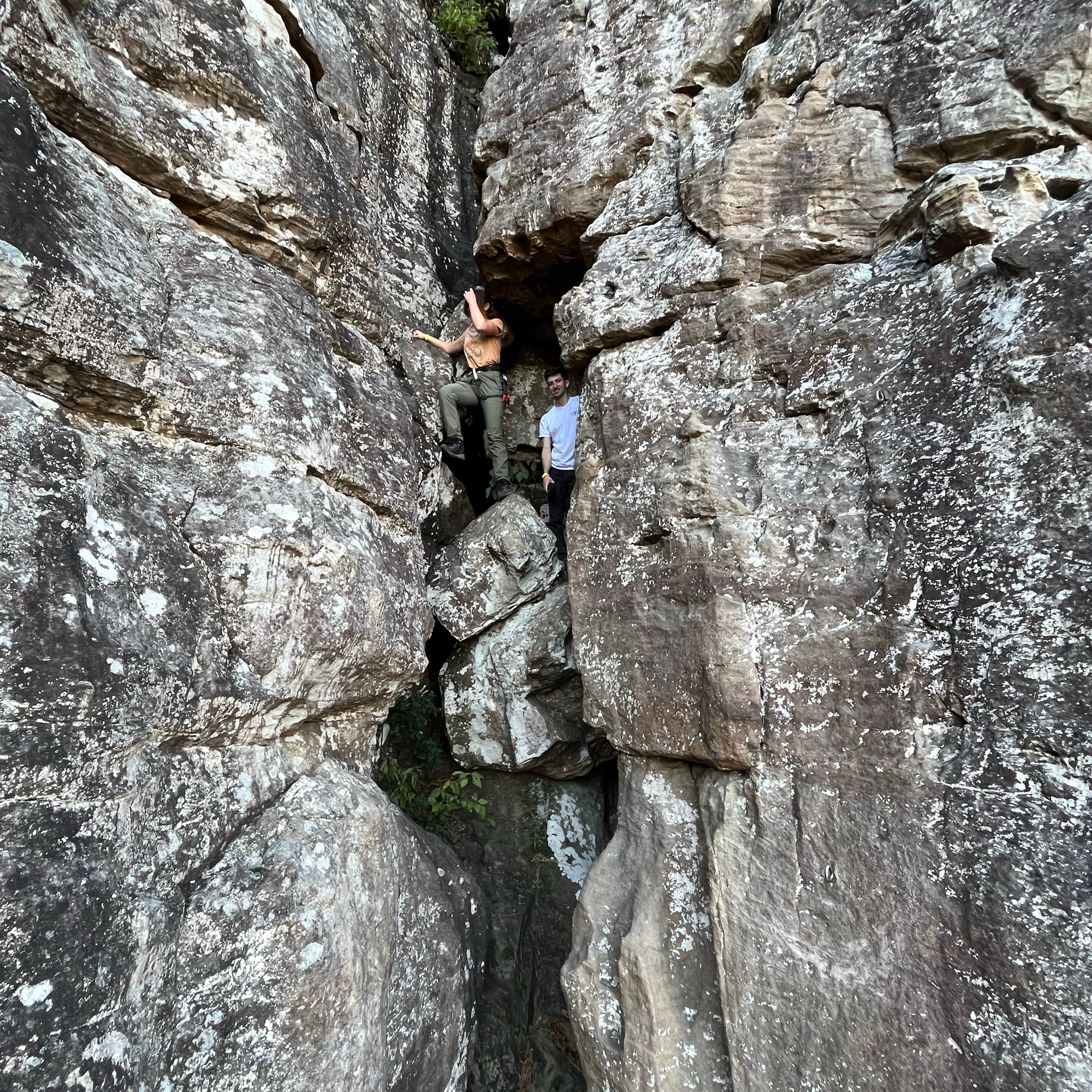 Climbing Beta video of climbers on Swamp Rat 5.8 in Horseshoe Canyon Ranch with undefined beta videos in KAYA, the climber's app - where climbers can log and track their ascents, progress, and connect with their local gym and outdoor climbing community.