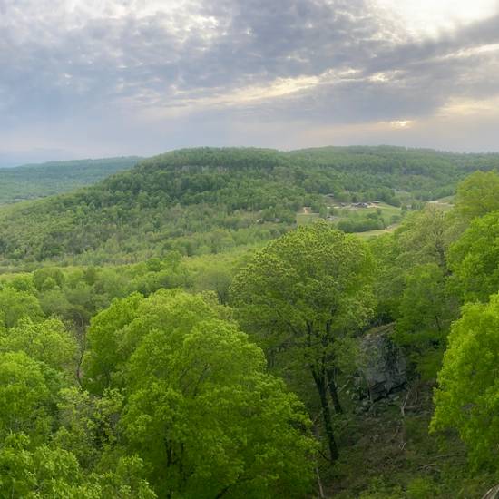 Orange Crush 5.9, Horseshoe Canyon Ranch - Beta Video from Rach