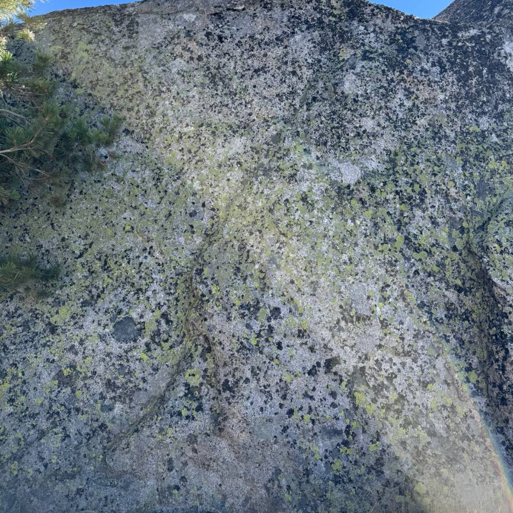 Cutter Box v2, Lake Tahoe - Beta Video from Yarl