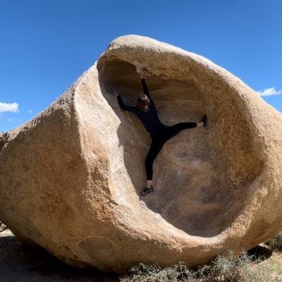 Womb v0, Joshua Tree - Beta Video from lexicon_rock