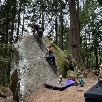 Newsroom v0, Squamish - Beta Video from CarrieCooperDPT