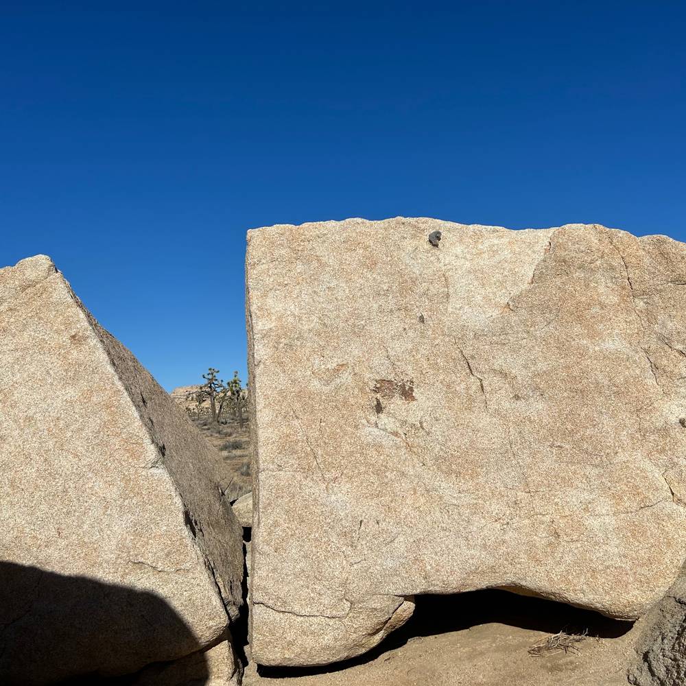 PS 4 vB, Joshua Tree - Beta Video from jauckley