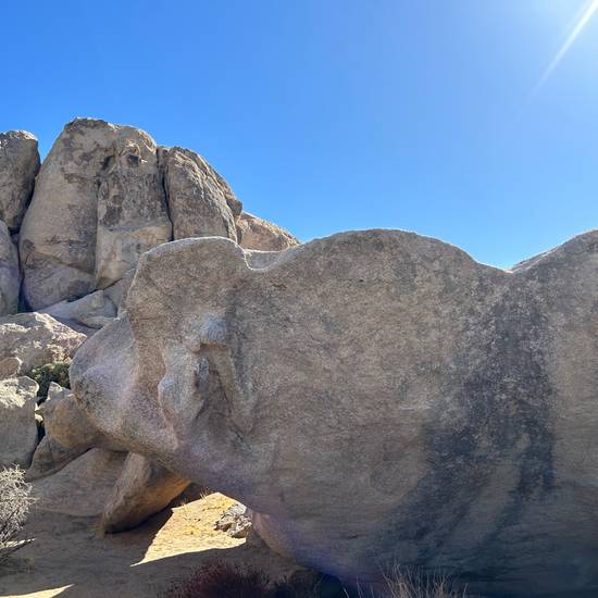 Little Bighorn v0, Joshua Tree - Beta Video from jauckley