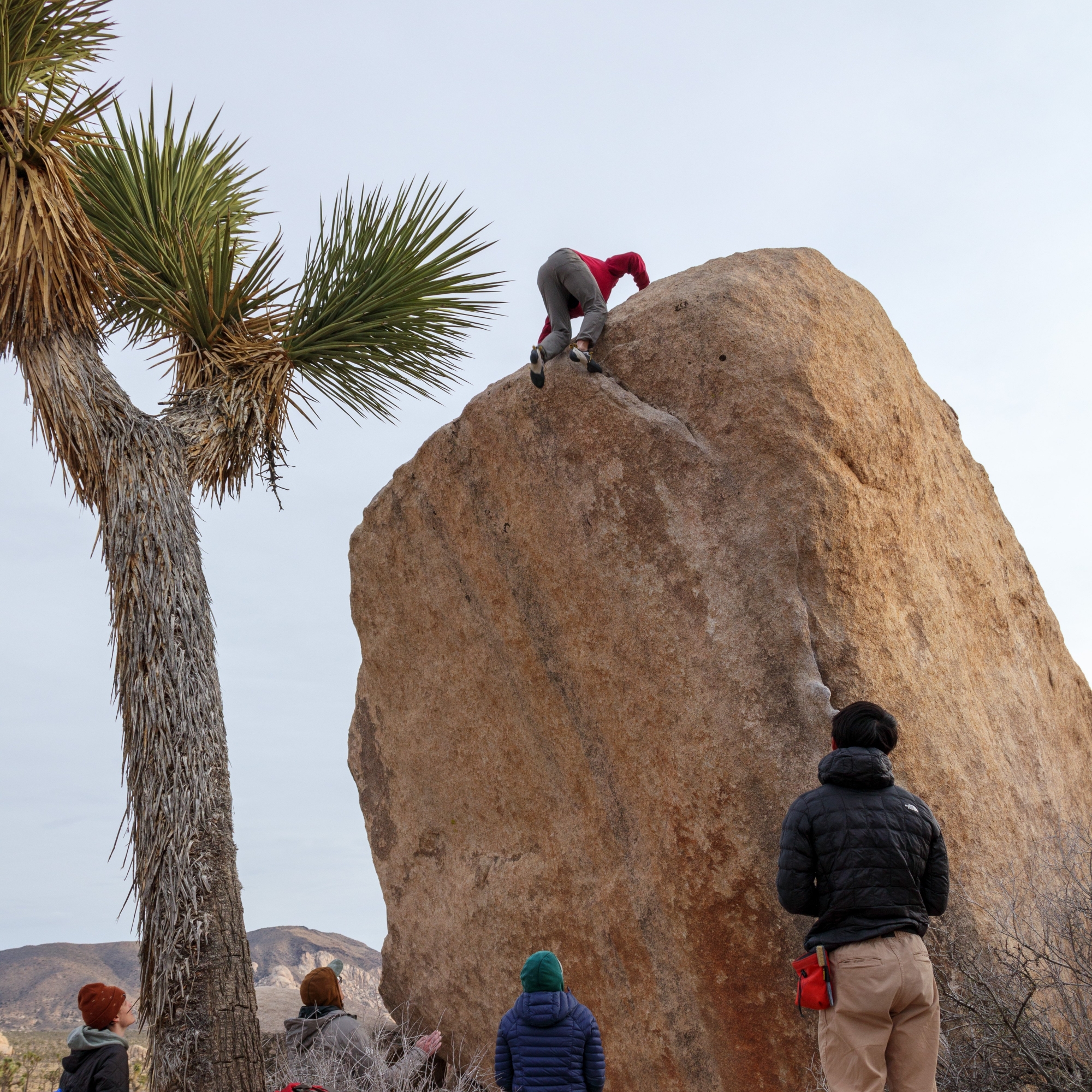 Climbing Beta video of climbers on White Rastafarian v3 in Joshua Tree with undefined beta videos in KAYA, the climber's app - where climbers can log and track their ascents, progress, and connect with their local gym and outdoor climbing community.