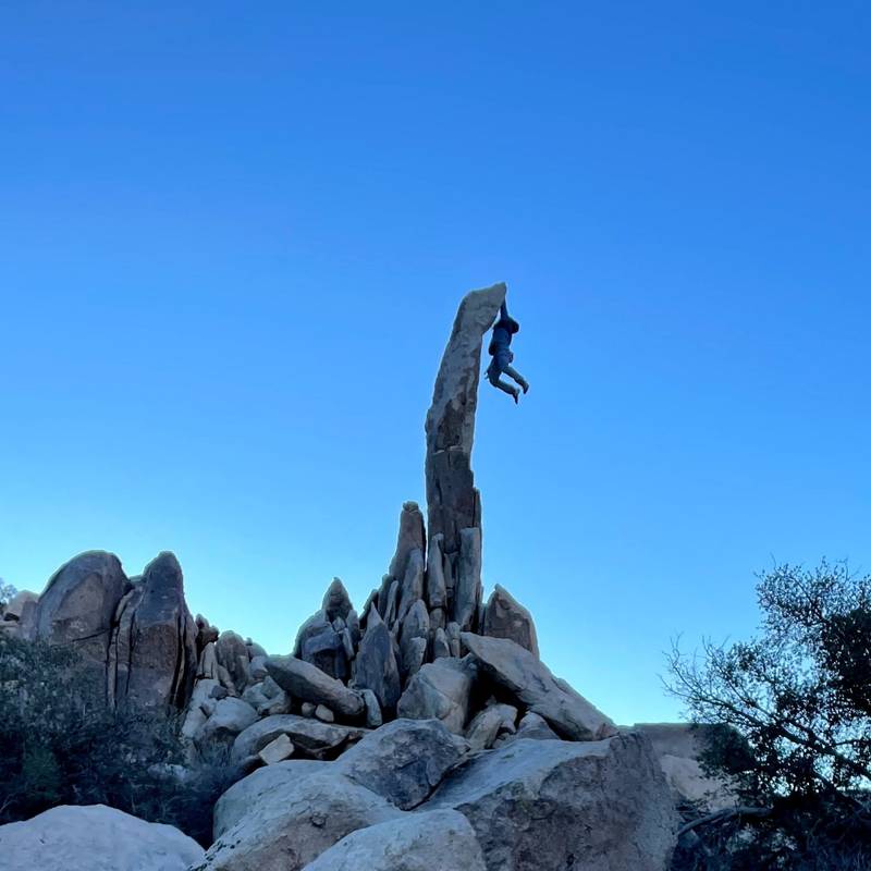 Aguille de Joshua Tree v0, Joshua Tree - Beta Video from turtle.fan.777