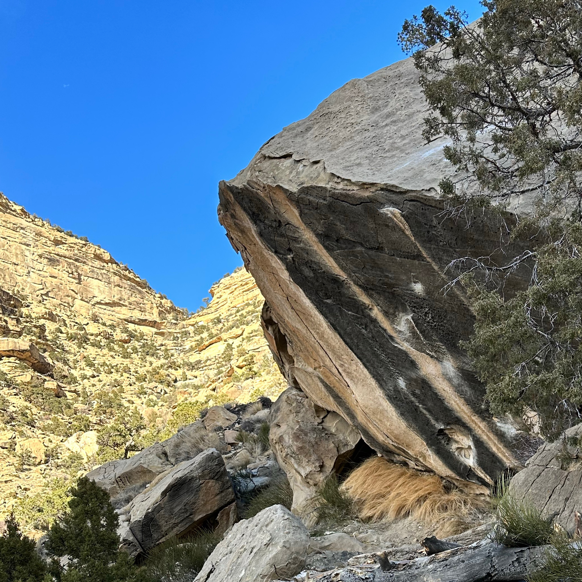 Climbing Beta video of climbers on Tooth & Nail v12 in Joe's Valley with undefined beta videos in KAYA, the climber's app - where climbers can log and track their ascents, progress, and connect with their local gym and outdoor climbing community.