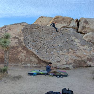 Ilicit Sweetie v0, Joshua Tree - Beta Video from lafeemajiik