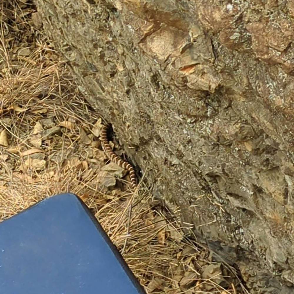 Camel High v1, Mt. Tamalpais - Beta Video from Cheycheystirfry