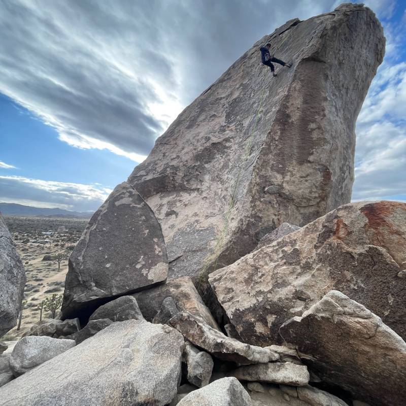 Cryptic 5.8, Joshua Tree - Beta Video from FlashStyleRile