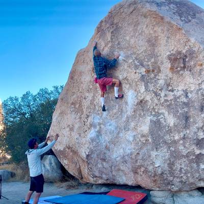 JBMFP v5, Joshua Tree - Beta Video from EricZschiesche
