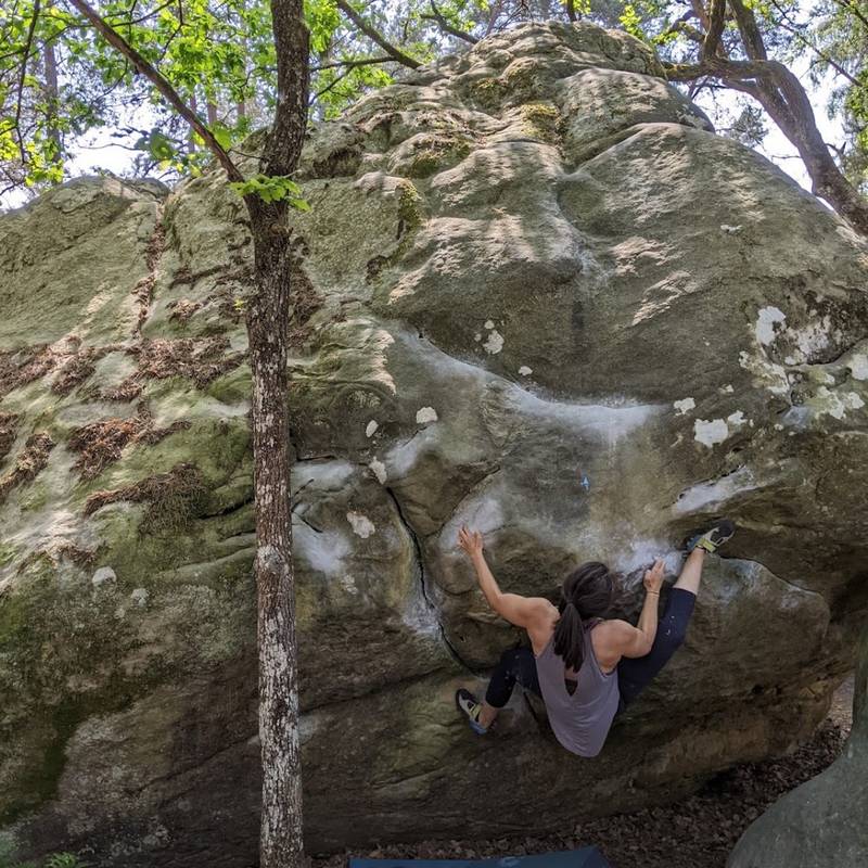 Le Bombé assis droite v6, Fontainebleau - Beta Video from KidYammy