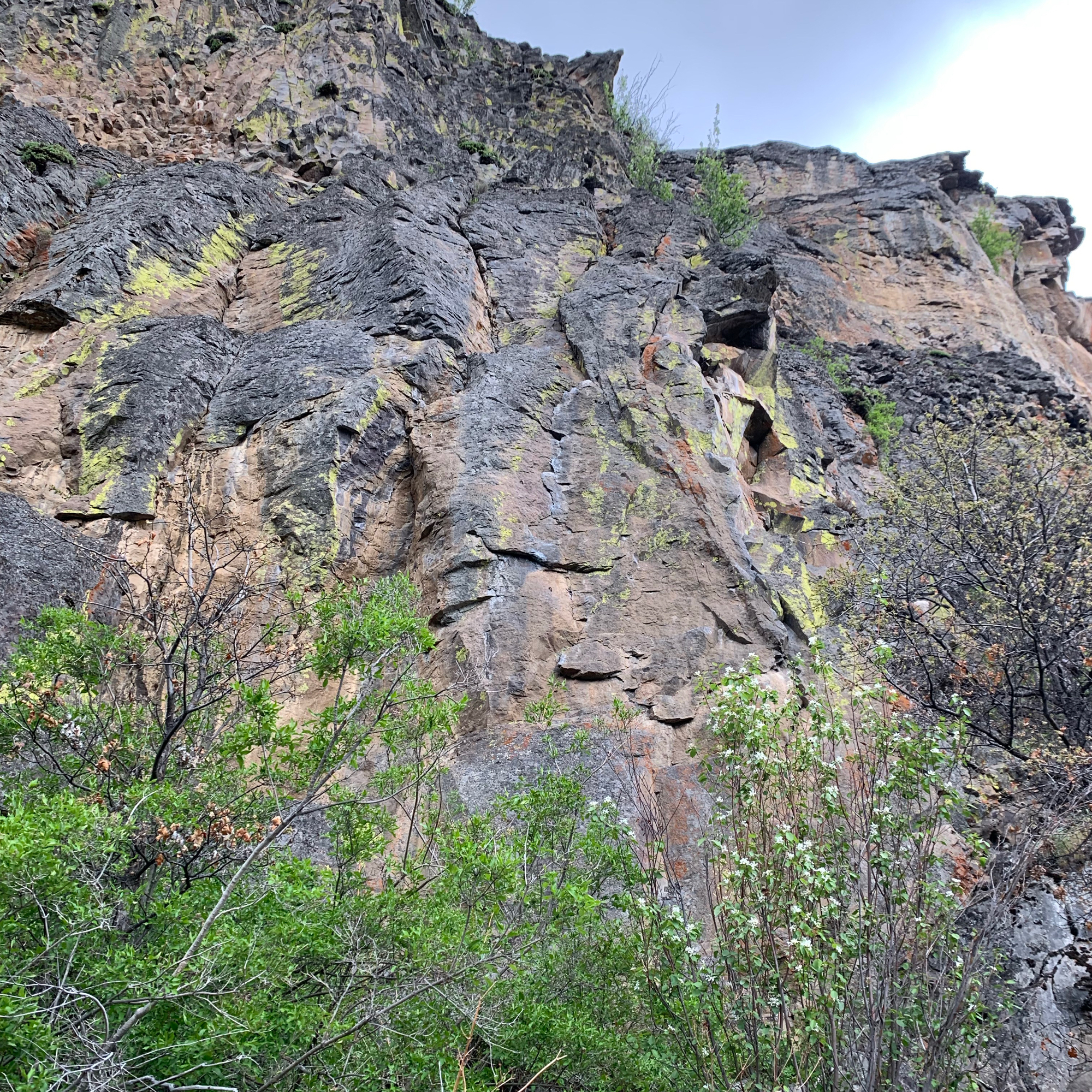 Climbing Beta video of climbers on The Riddler 5.10a in Tieton River with undefined beta videos in KAYA, the climber's app - where climbers can log and track their ascents, progress, and connect with their local gym and outdoor climbing community.