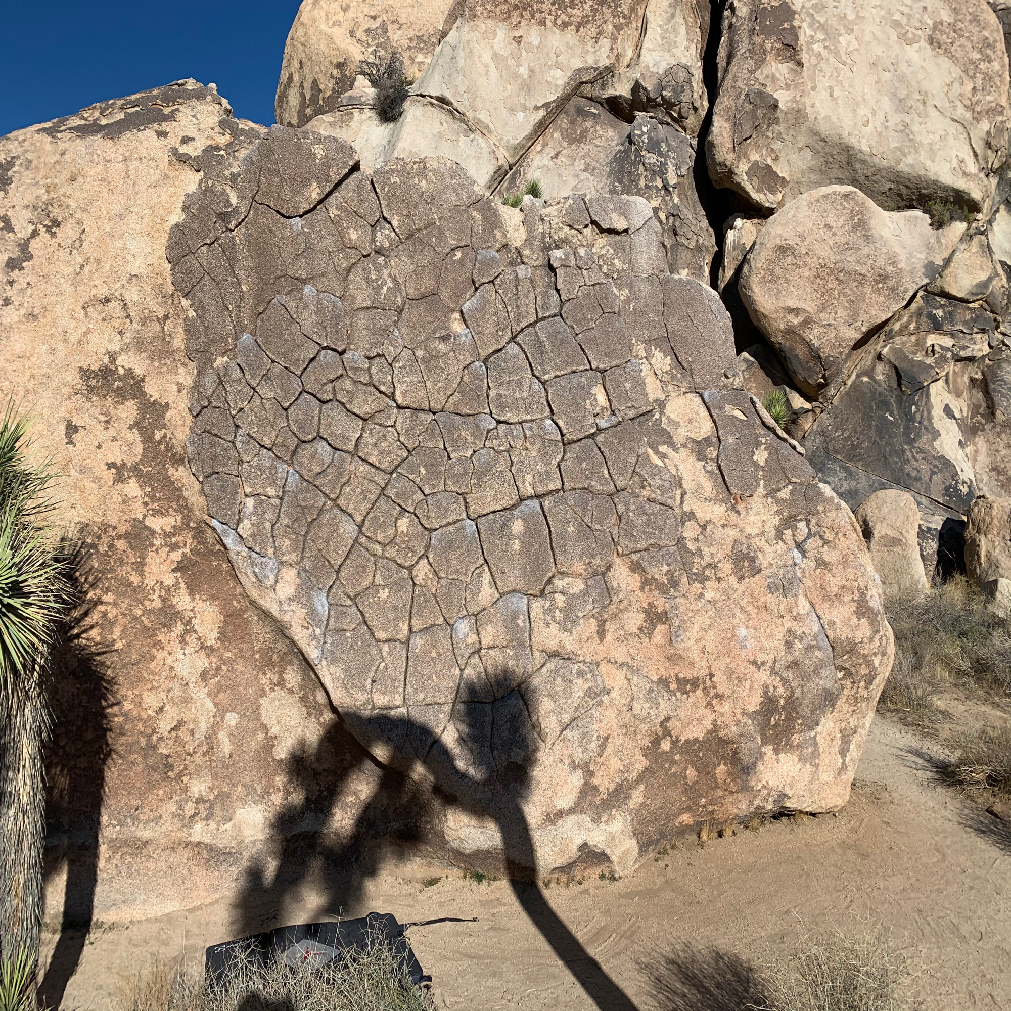 Climbing Beta video of climbers on Dragon Scales vB in Joshua Tree with undefined beta videos in KAYA, the climber's app - where climbers can log and track their ascents, progress, and connect with their local gym and outdoor climbing community.