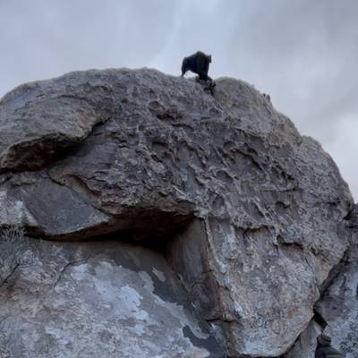 Coyote Corner v1, Joshua Tree - Beta Video from alexandriasendshopefully
