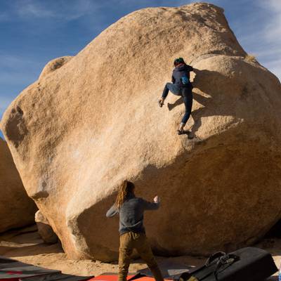 Stem Gem v4, Joshua Tree - Beta Video from prrdylady
