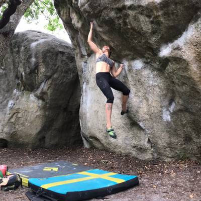 Carnage v8, Fontainebleau - Beta Video from evensara