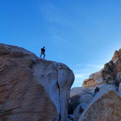False Up 20 v1, Joshua Tree - Beta Video from turtle.fan.777