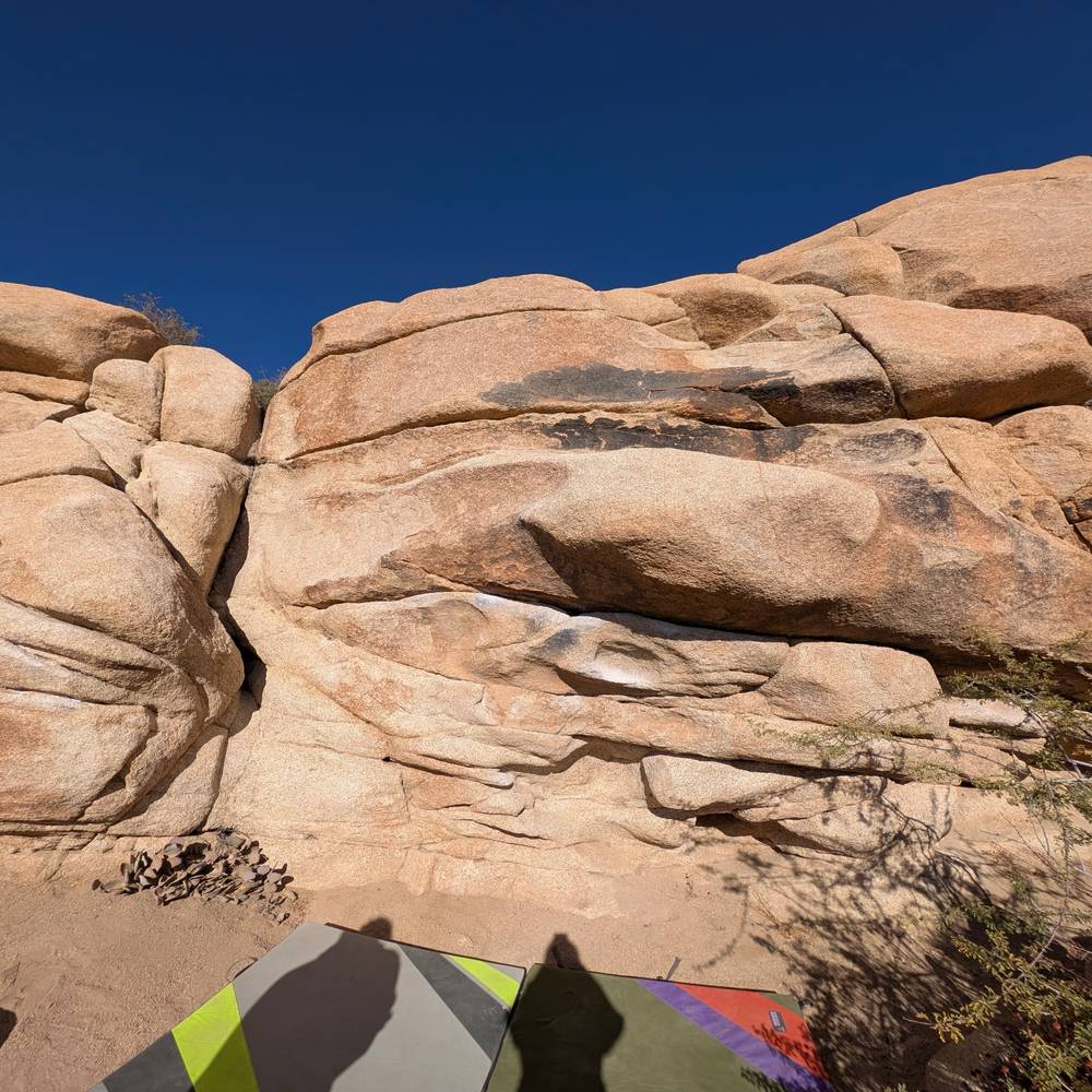Rambler v0, Joshua Tree - Beta Video from lafeemajiik