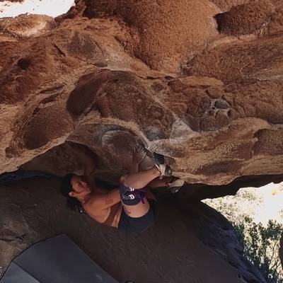 Purple Flowers v9, Hueco Tanks - Beta Video from ANTHEA
