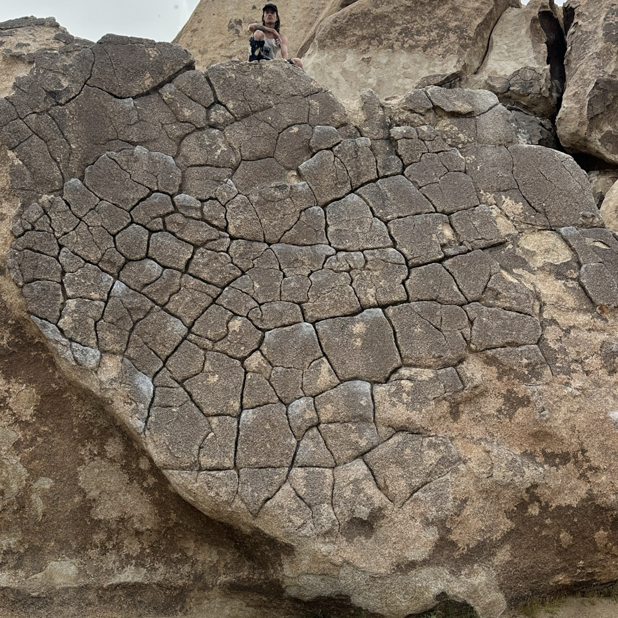 Climbing Beta video of climbers on Dragon Scales vB in Joshua Tree with undefined beta videos in KAYA, the climber's app - where climbers can log and track their ascents, progress, and connect with their local gym and outdoor climbing community.