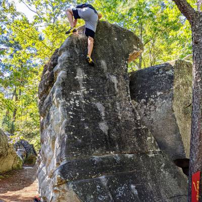 Merlin v1, Horse Pens 40 - Beta Video from CameronBentley