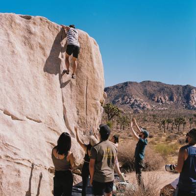 Pinhead v1, Joshua Tree - Beta Video from sketchdan