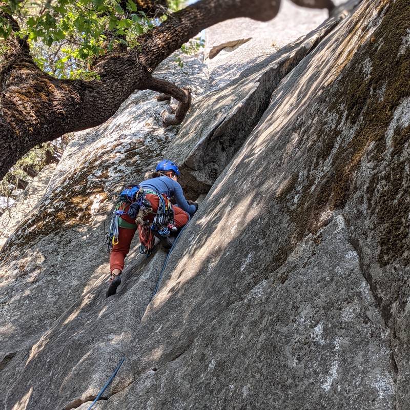 Oak Tree Flake 5.5, Yosemite Valley - Beta Video from lemonlime