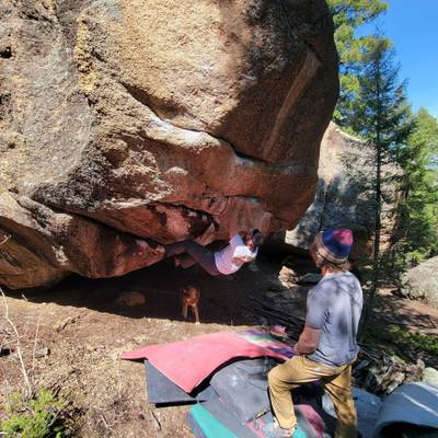 Vendetta v8, South Platte - Beta Video from tdnizzle