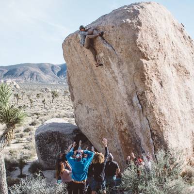 White Rastafarian v3, Joshua Tree - Beta Video from sketchdan