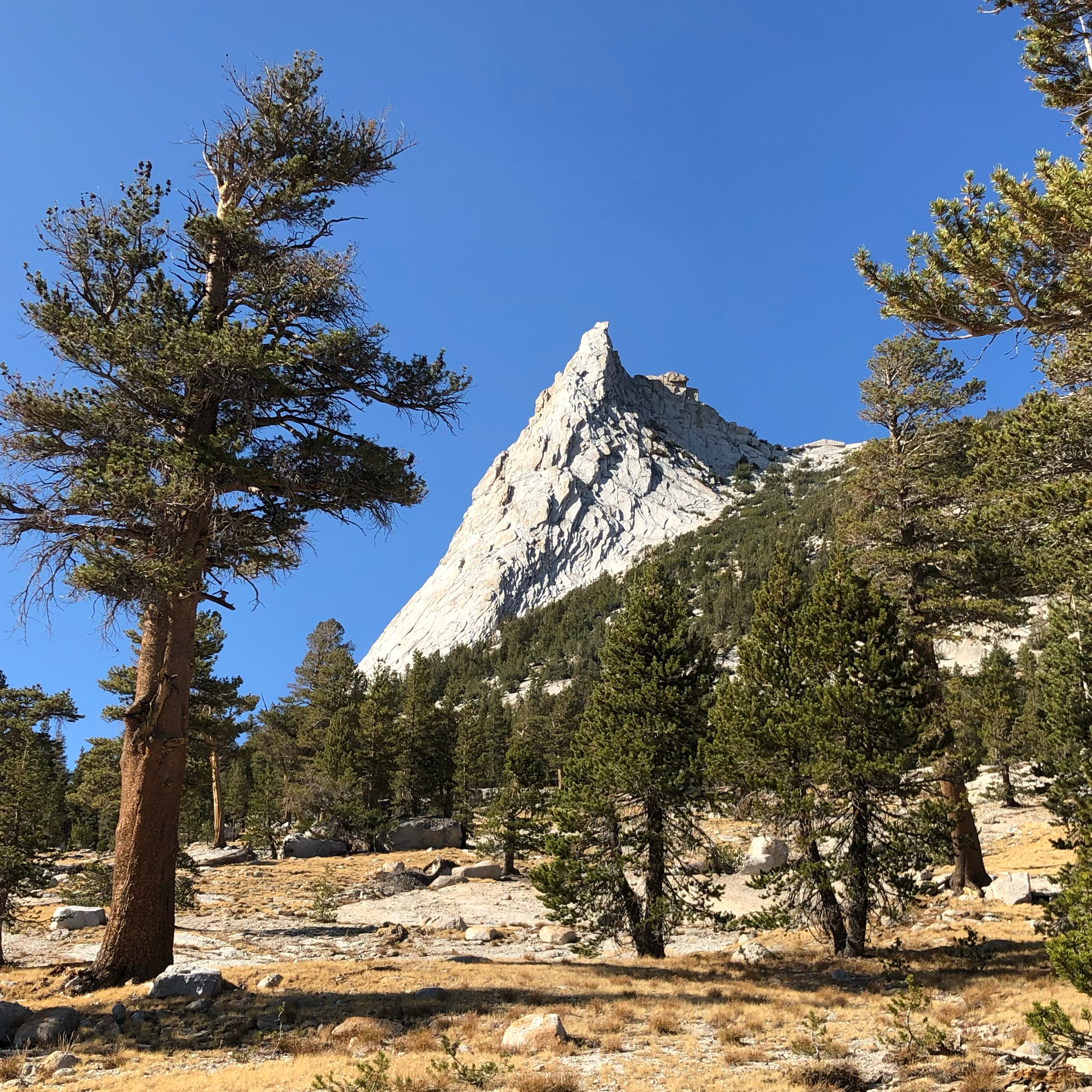 Climbing Beta video of climbers on Cathedral Peak 5.6 in Yosemite Valley with undefined beta videos in KAYA, the climber's app - where climbers can log and track their ascents, progress, and connect with their local gym and outdoor climbing community.