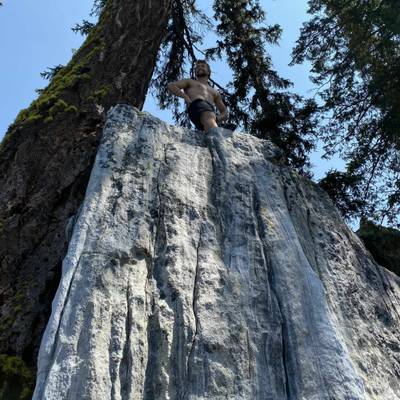 Butterscotch Ripple v3, Kelowna - Beta Video from chinch
