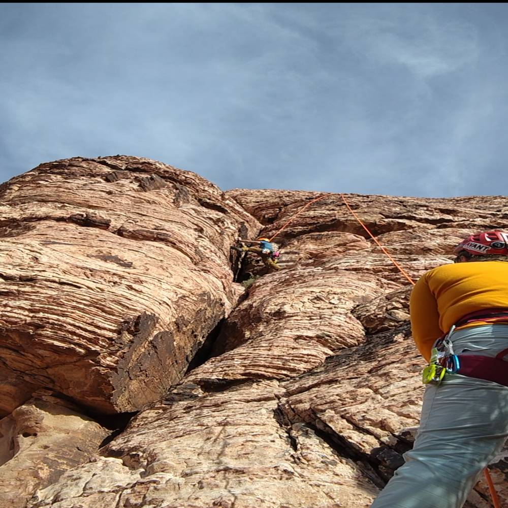 Meerkat Manor 5.7, Red Rock - Beta Video from mooseypants