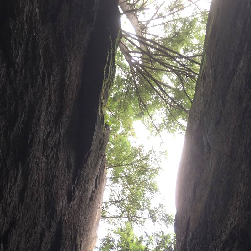 In the Doghouse 5.7, Squamish - Beta Video from improvchen