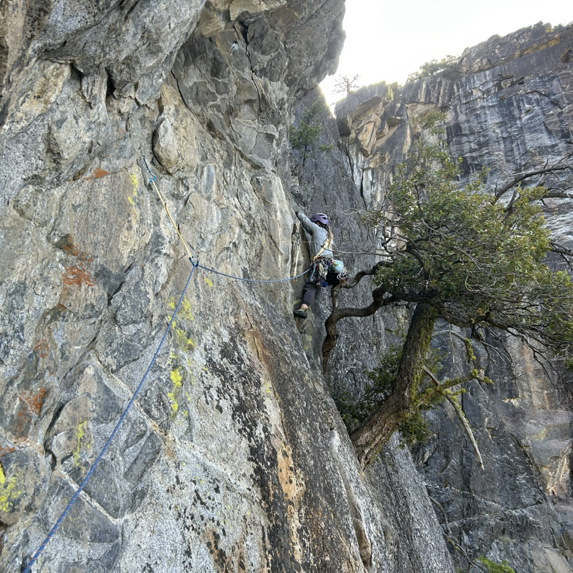 Climbing Beta video of climbers on Braille Book 5.8 in Yosemite Valley with undefined beta videos in KAYA, the climber's app - where climbers can log and track their ascents, progress, and connect with their local gym and outdoor climbing community.