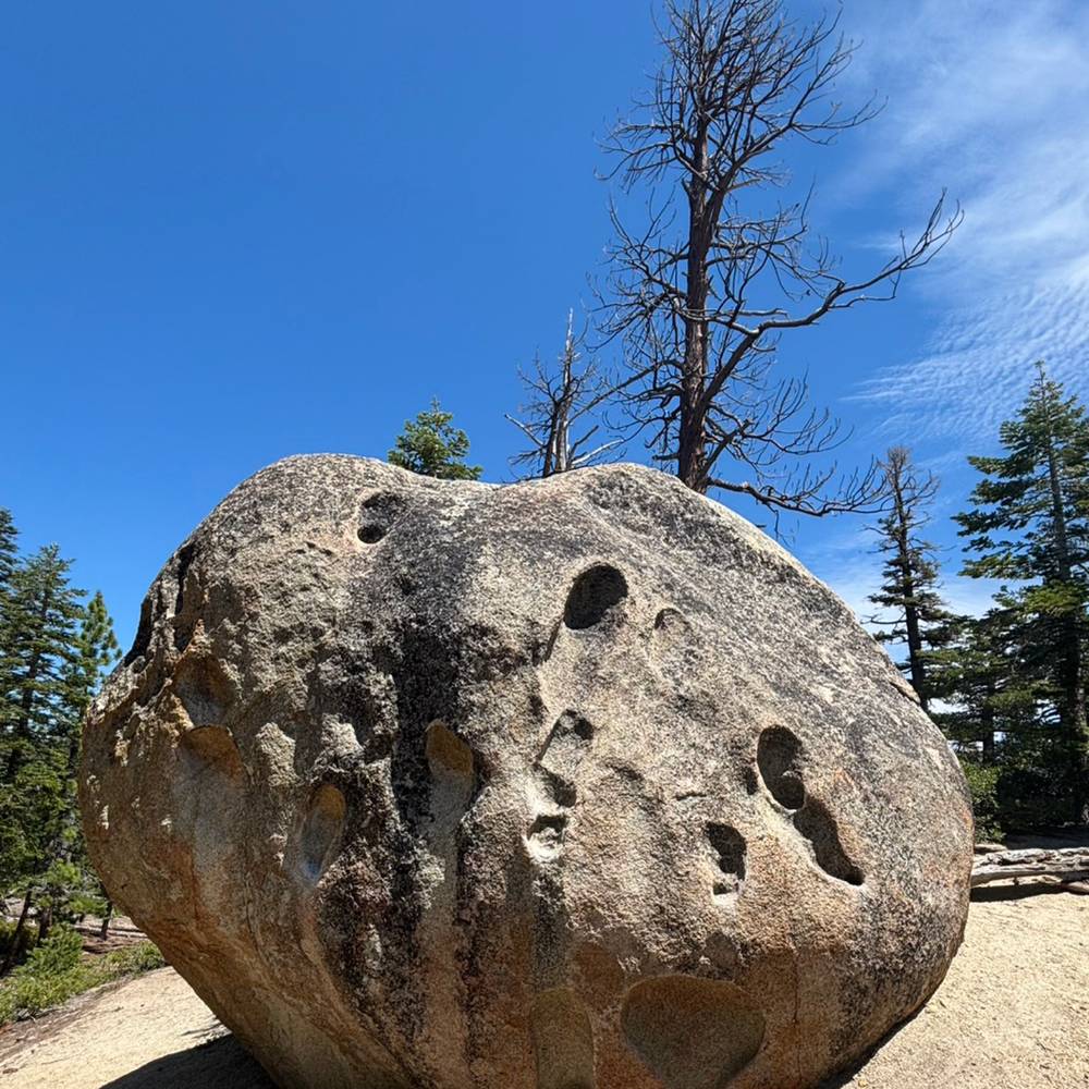 Pothole of Kittens v1, Lake Tahoe - Beta Video from zinniawn