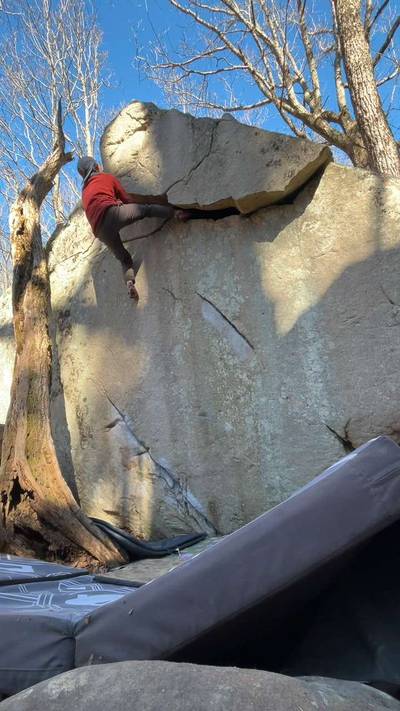 Earl the Squirrel v7, The Citadel - Beta Video from catlikeacat