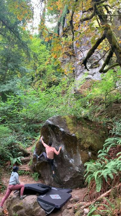 Triangle Face v7, Carver - Beta Video from Franchise82