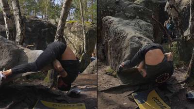 Crocodile v3, Fontainebleau - Beta Video from breakingbeta