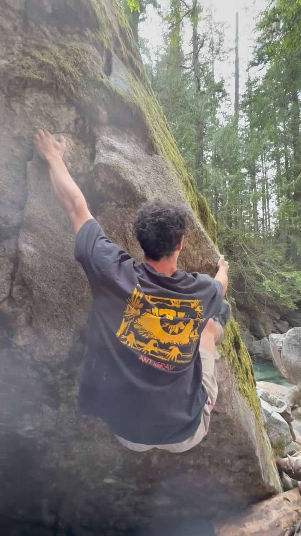 Logjammin' v8, Stevens Pass - Beta Video from curlynburly