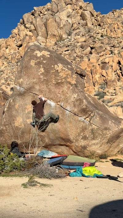 Swinging Richard v4, Joshua Tree - Beta Video from keav
