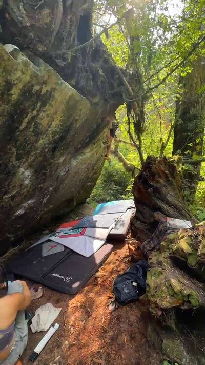 Swamp Queen v5, Miller River - Beta Video from n8mall