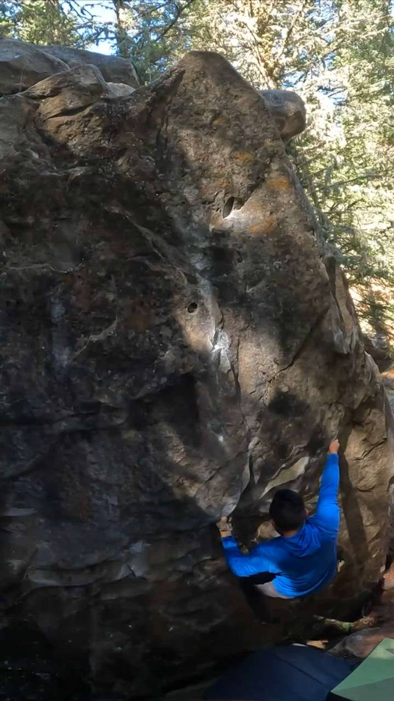 Whales in the Forest AKA Sleepy Hollow v5, Porcupine Hills - Beta Video from Aibert