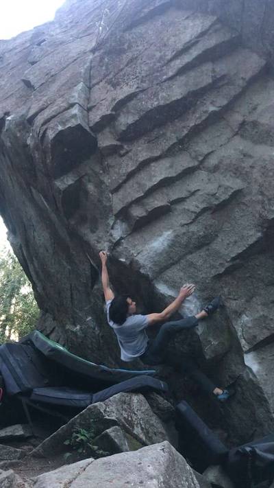 Ross Bongo v8, Gold Bar - Beta Video from ethenwes