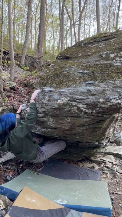 Skill of Toungues v4, Gunpowder Falls - Beta Video from annaliese