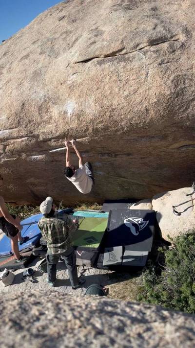 Tips Be Gone v5, Joshua Tree - Beta Video from rl.taco