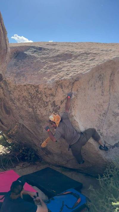 Obvious Gem v5, Joshua Tree - Beta Video from TG6S85