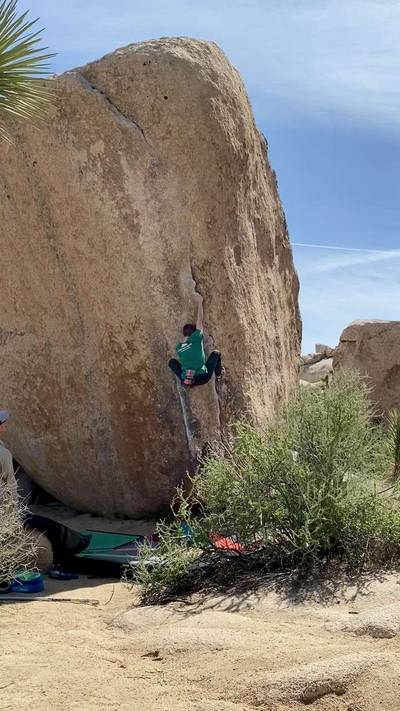 White Rastafarian v3, Joshua Tree - Beta Video from peterclimbs