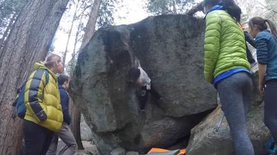 Root Canal v7, Yosemite Valley - Beta Video from Anishfishsquish